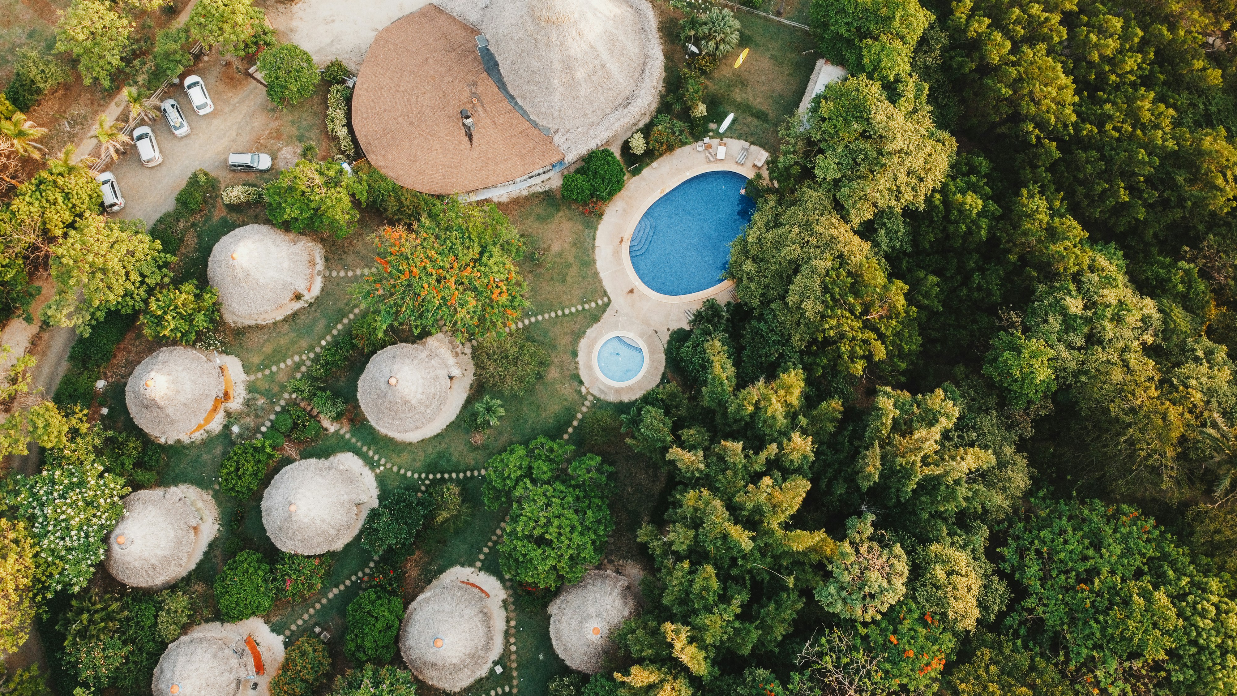 aerial view of green trees and white round swimming pool during daytime